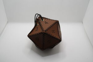 D20 bag